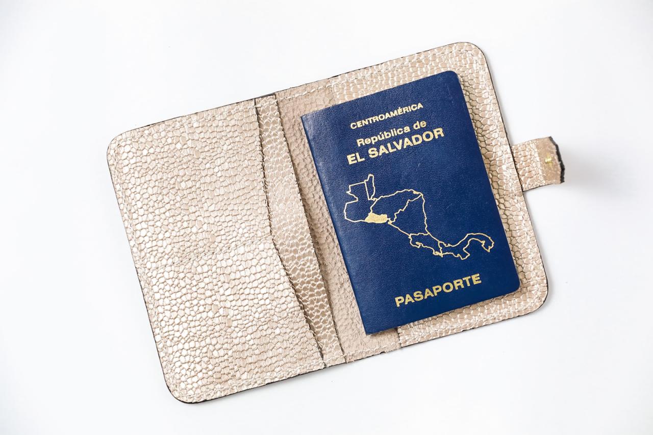 Passport Holder- GOLD