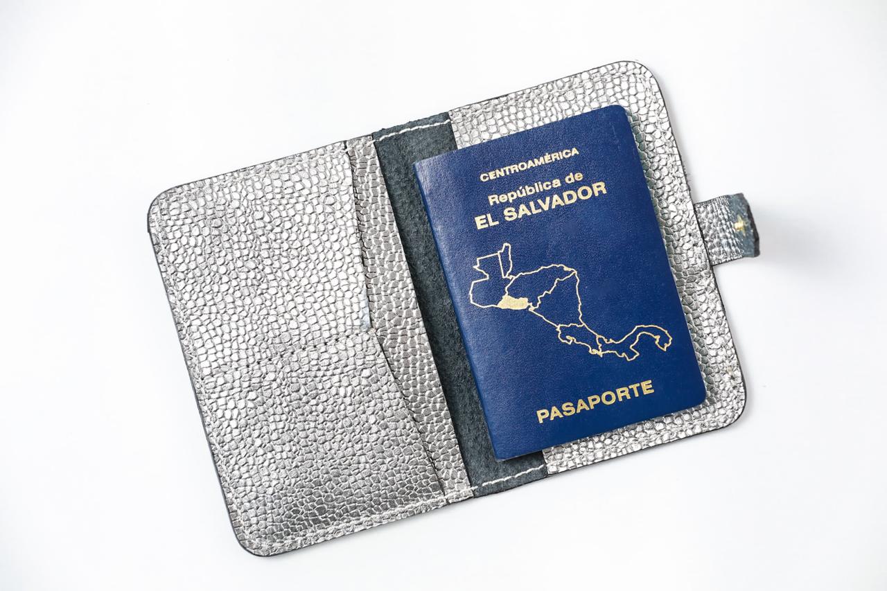 Passport Holder - GUNMETAL