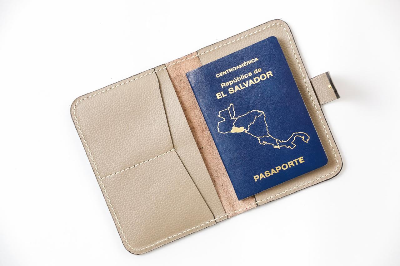 Passport Holder - TAUPE